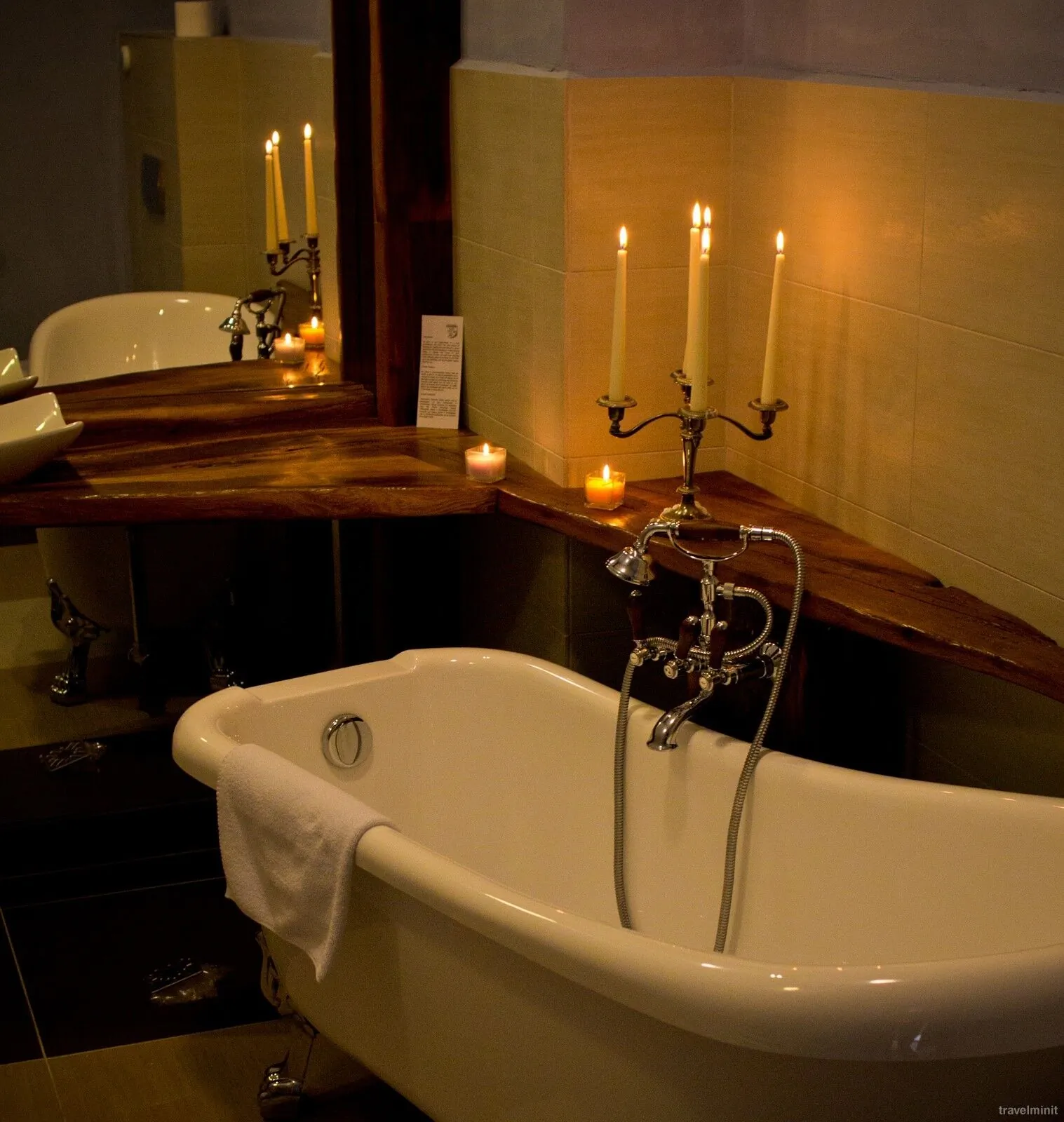 Castel Hotel Daniel Tălișoara - foto 10