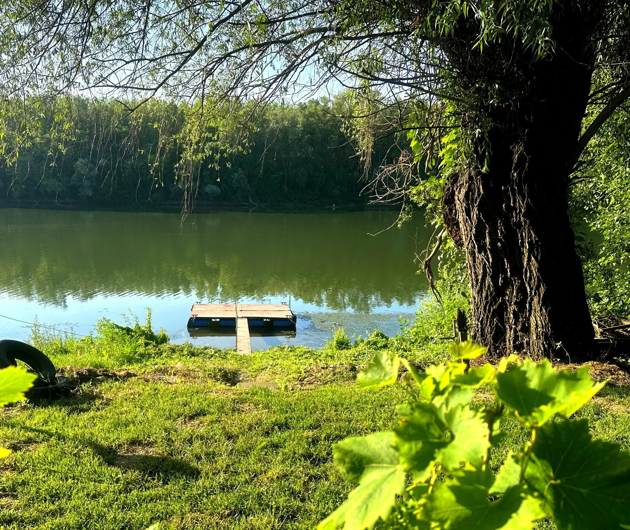 Tiszavirág Vendégház Szeged – Szeghed, Ungaria