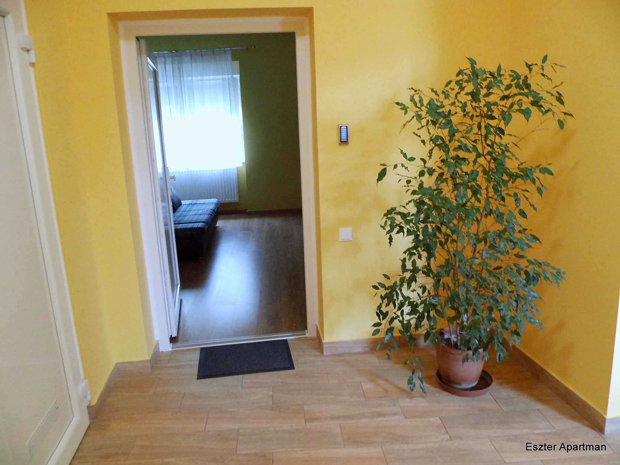 Eszter Wellness Apartman Békéscsaba - foto 3