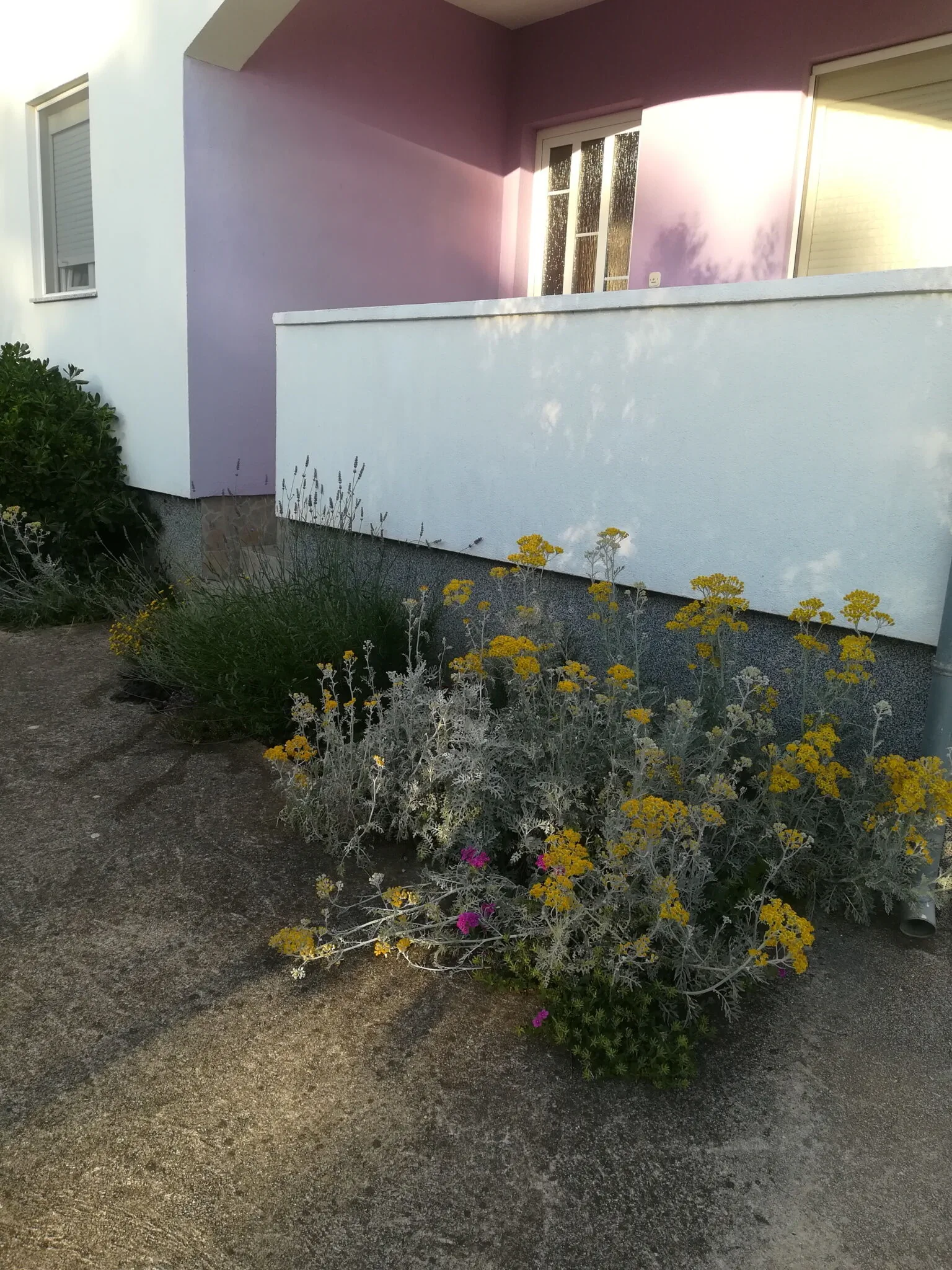 Apartments Leea Zadar Diklo – Zadar, Chorwacja