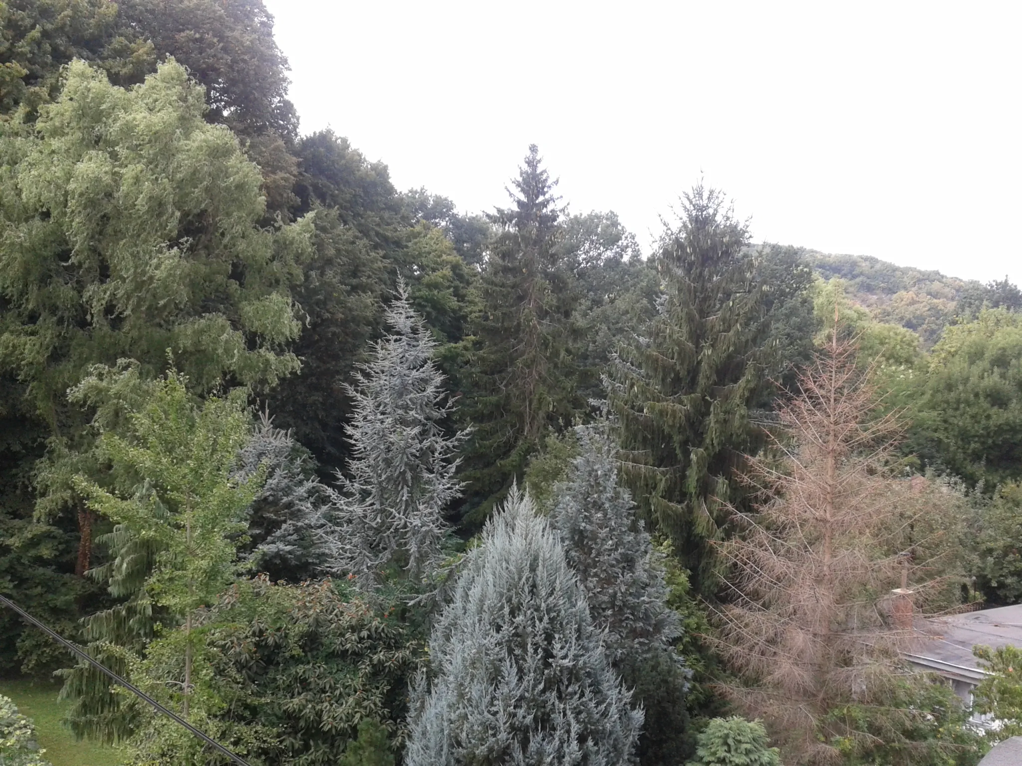 Platán Apartmanház Miskolctapolca – Miskolctapolca, Ungaria
