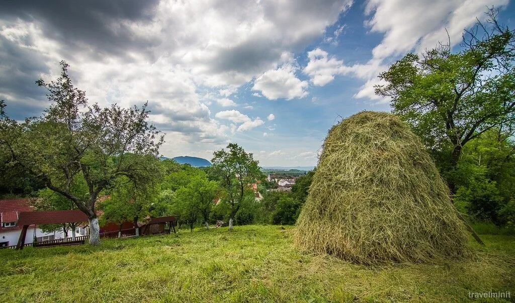 Pensiunea Tinelu Brasov Sacele – Săcele, România