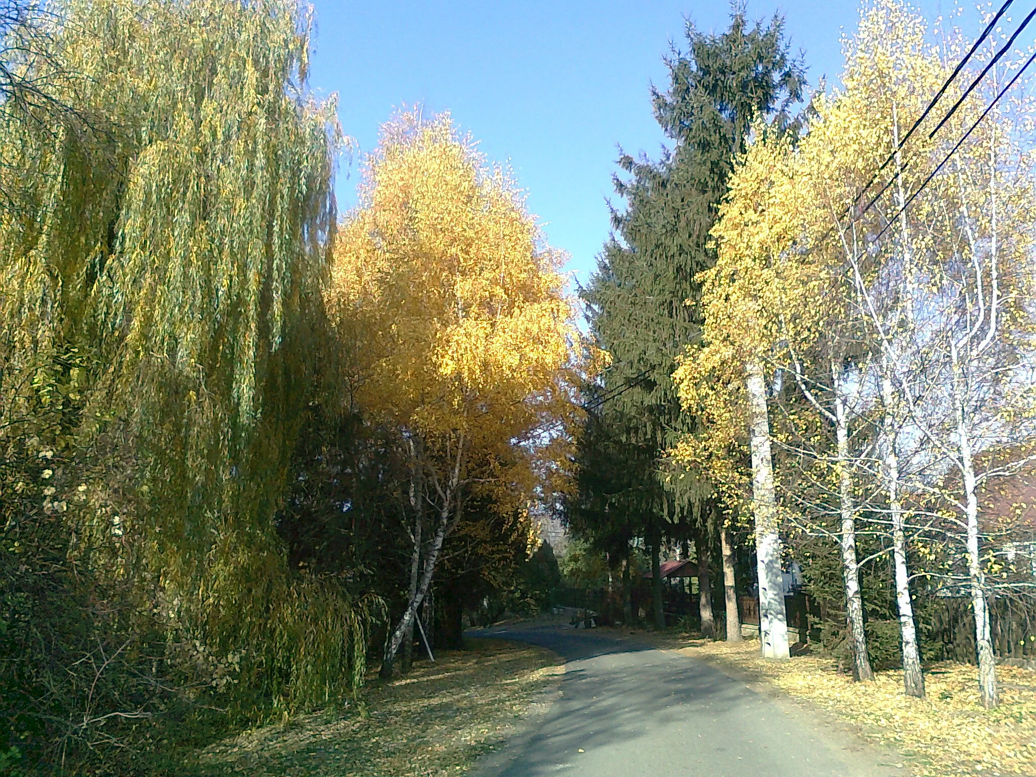 Erdészház Nagybörzsöny – Nagybörzsöny, Ungaria