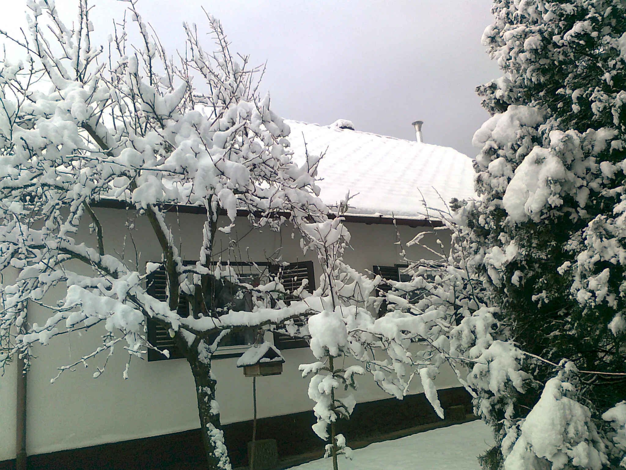 Erdészház Nagybörzsöny – Nagybörzsöny, Ungaria