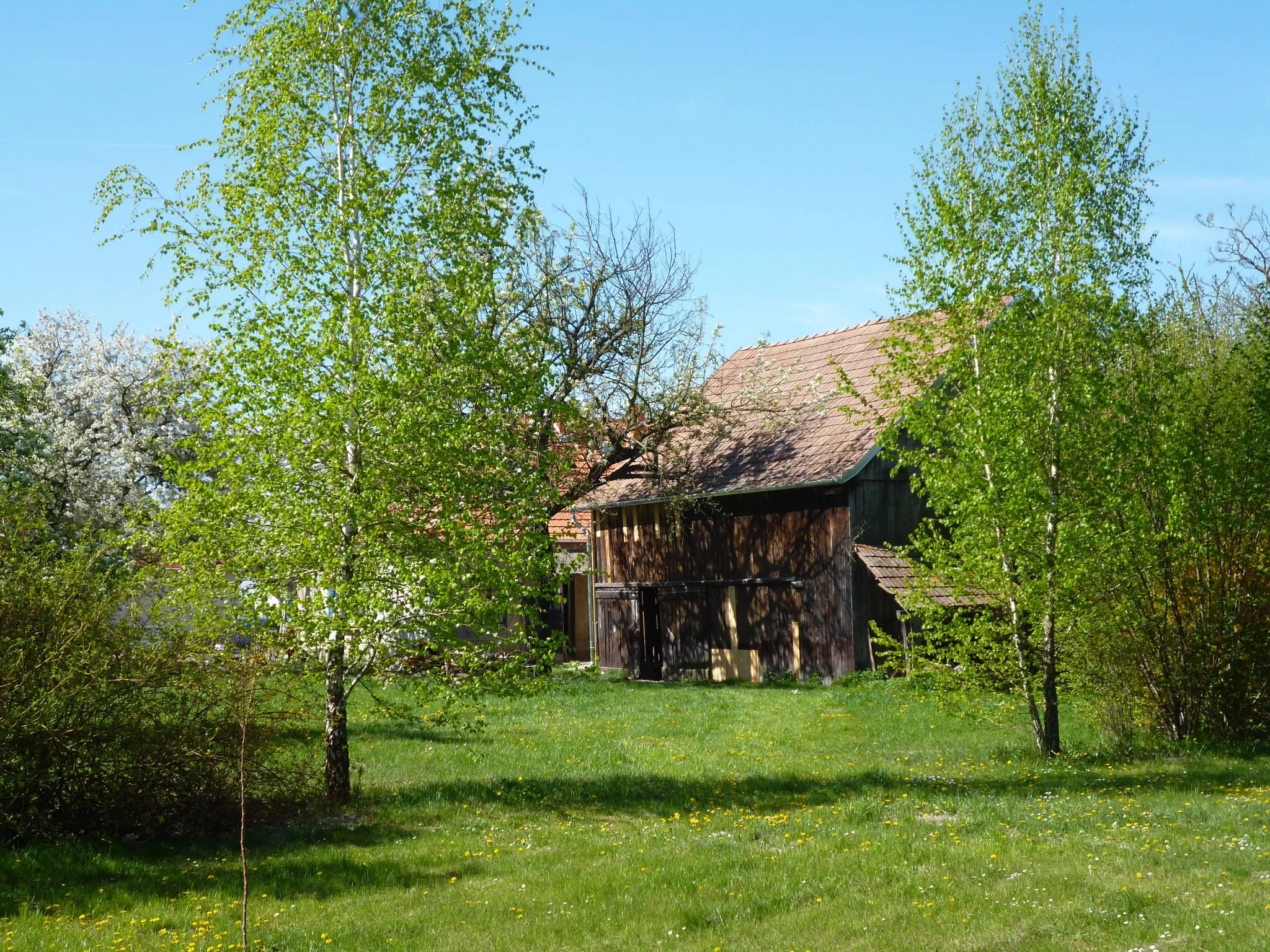 Nagybajcsi Körtefa Vendégház-Apartmanok - foto 9