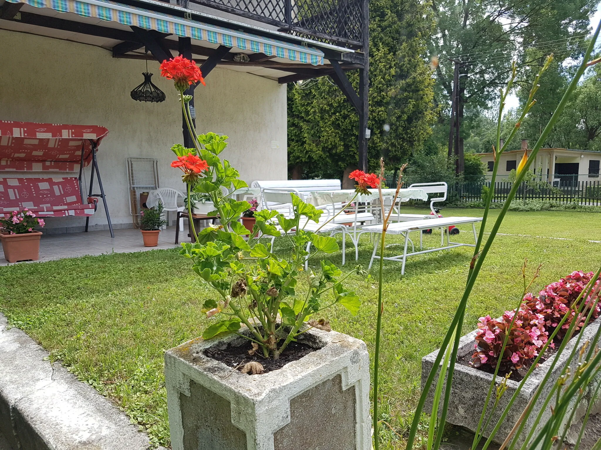 Villa Negra Retro Panzió Balatonföldvár – Balatonföldvár, Ungaria