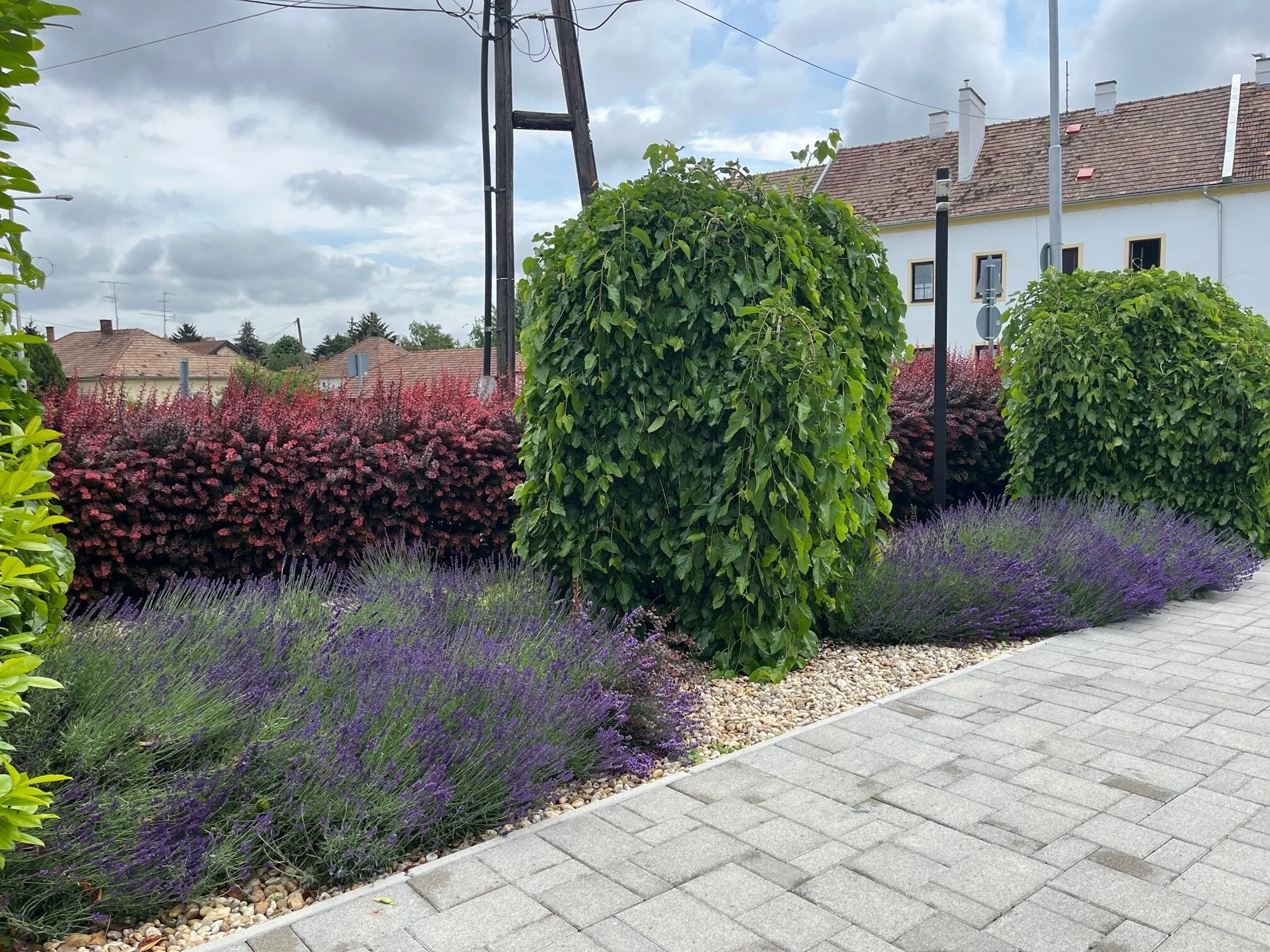 Suri Bau Apartman Mosonmagyaróvár - foto 10