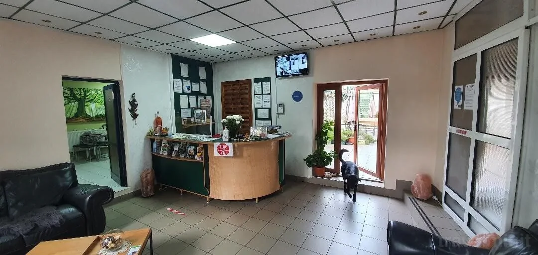 Hotel Adabelle - Adults Only +14 Brașov – Braszów, Rumunia