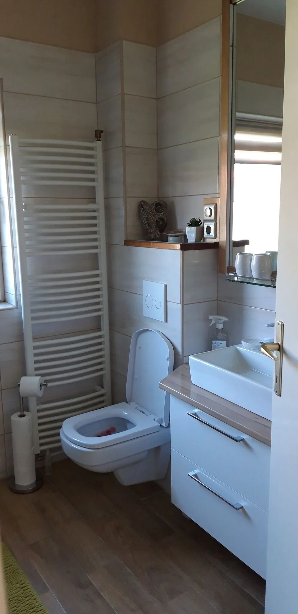 Elisabeth Apartman Tihany - foto 9
