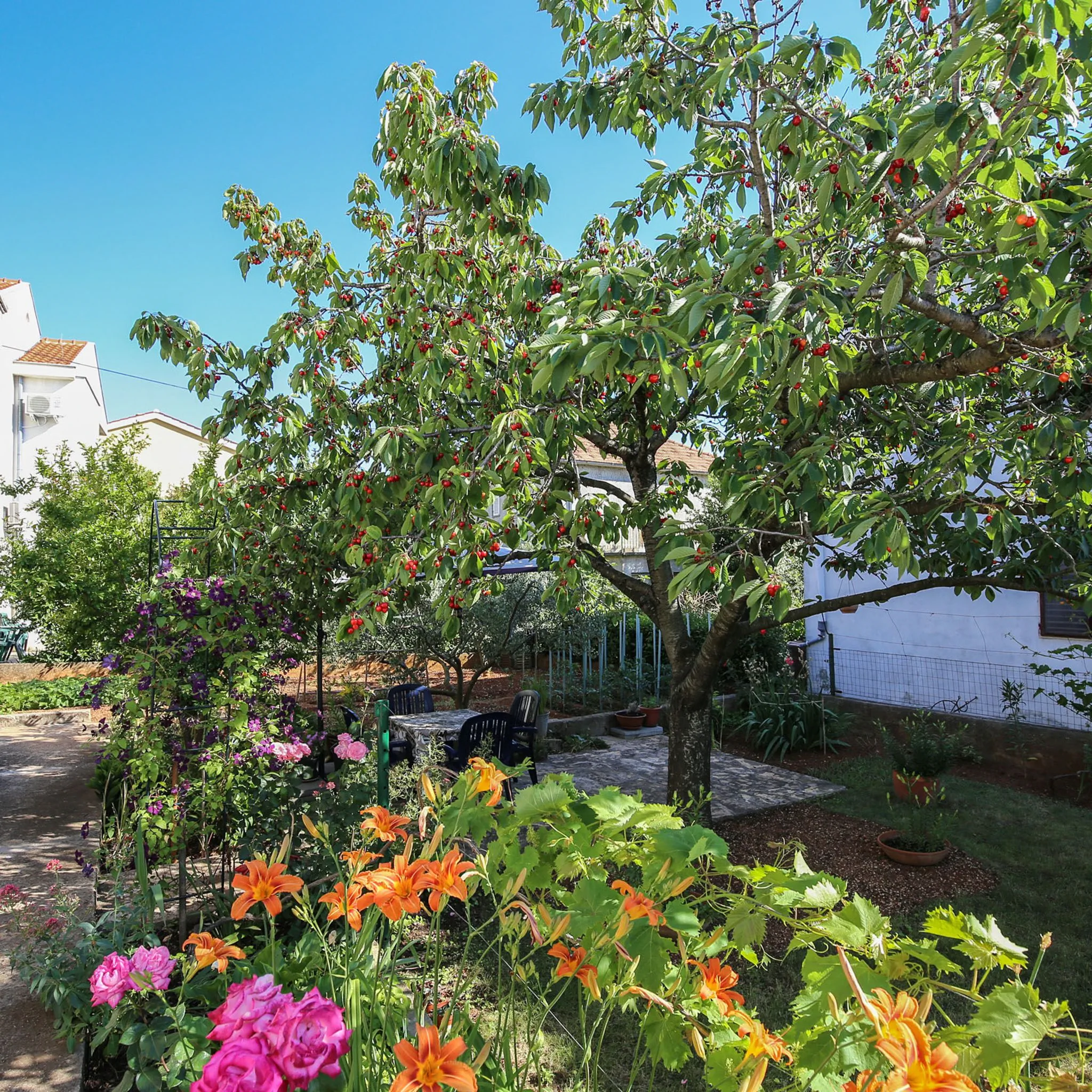 Apartmani Tea Zadar – Zadar, Chorwacja