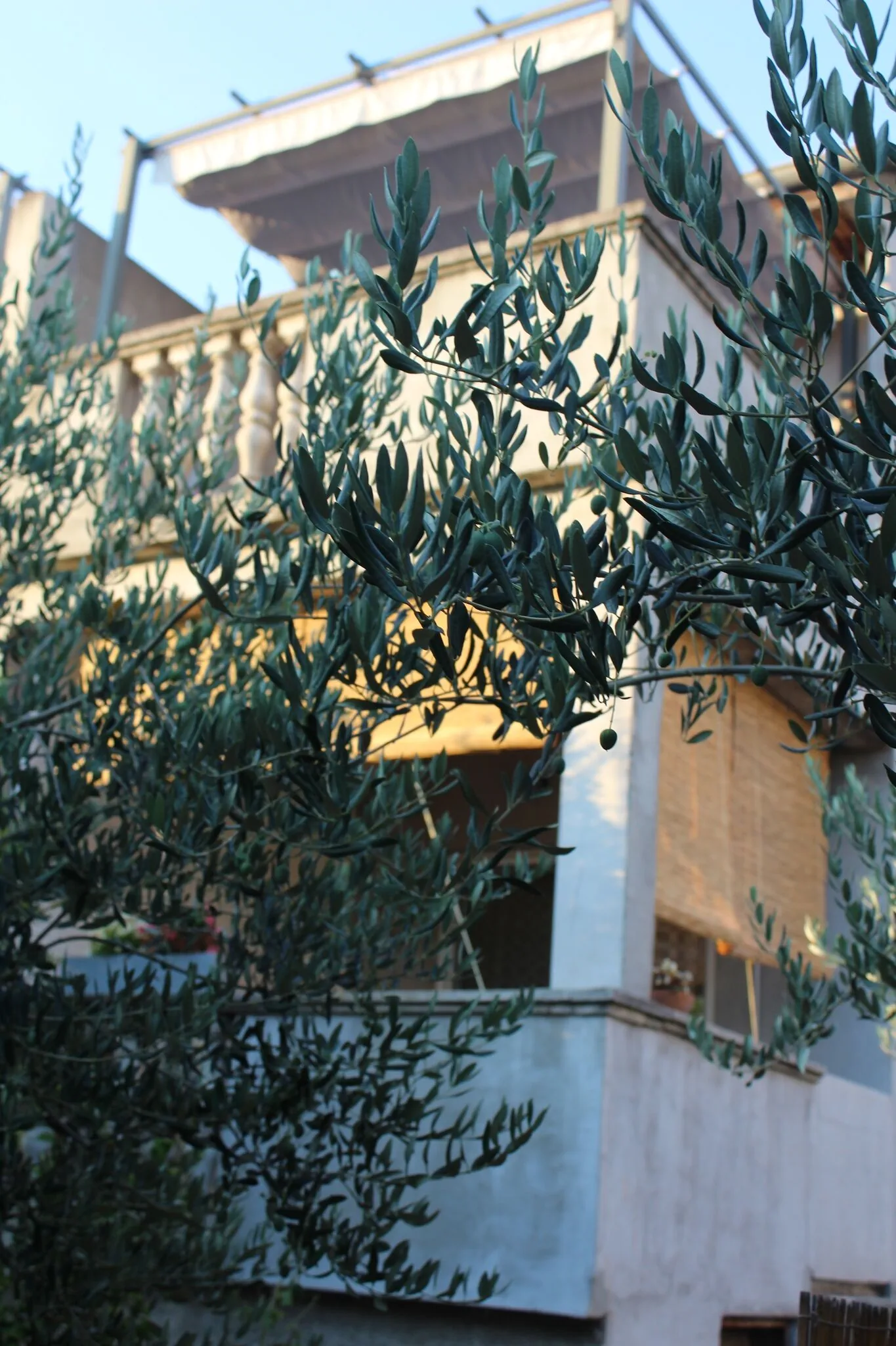 Apartmani Tea Zadar – Zadar, Chorwacja