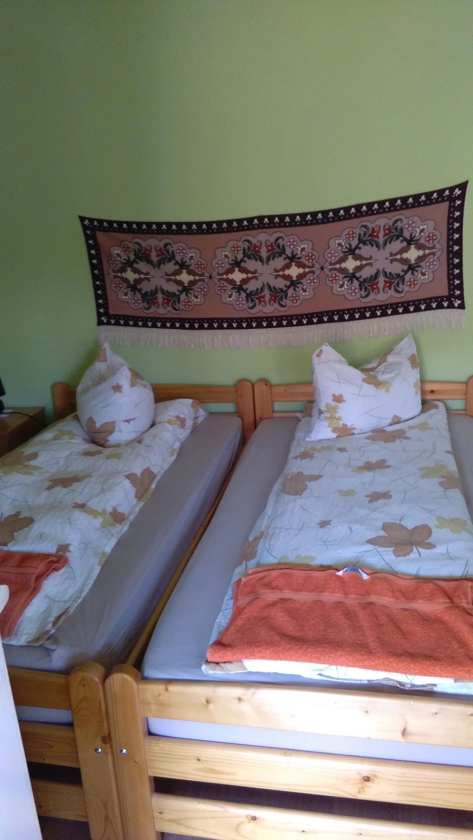 Casa de oaspeți Shalom Sâncraiu – Sâncraiu, România