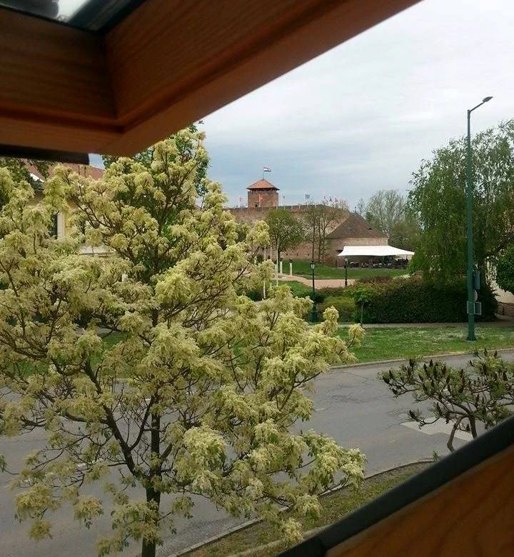 Silver Zafír Apartmanház Gyula - foto 4
