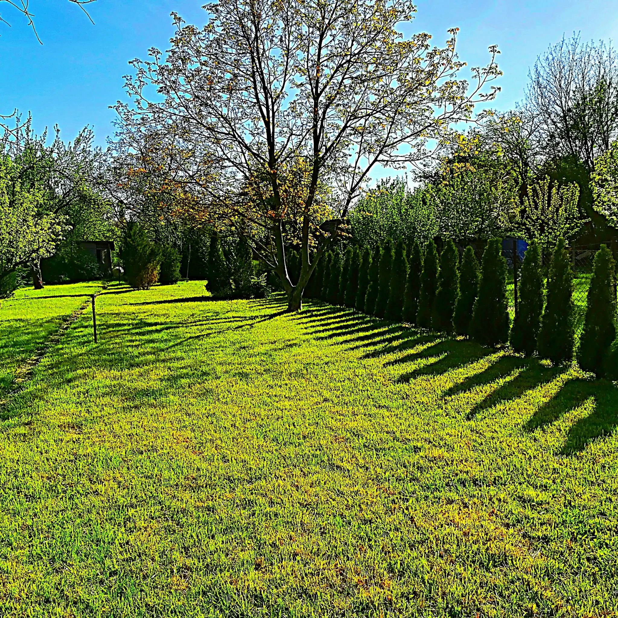 Gerenda Nyaraló Szarvas – Szarvas, Ungaria