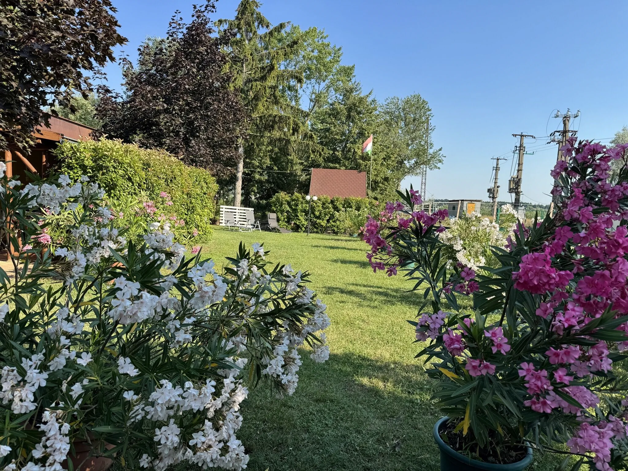BB Vendégház Balatonboglár - foto 4