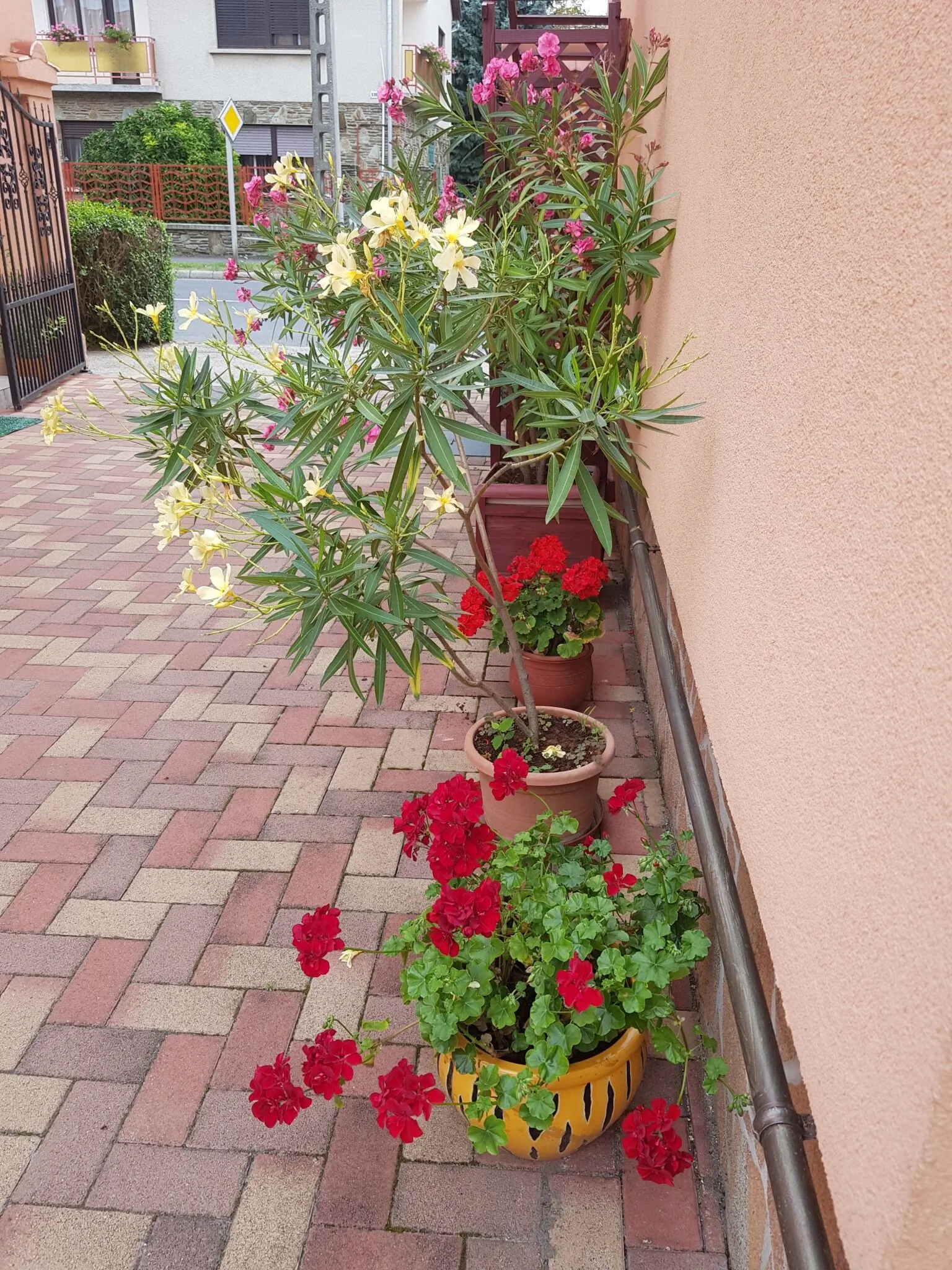 Bella Apartman Sárvár – Sárvár, Ungaria