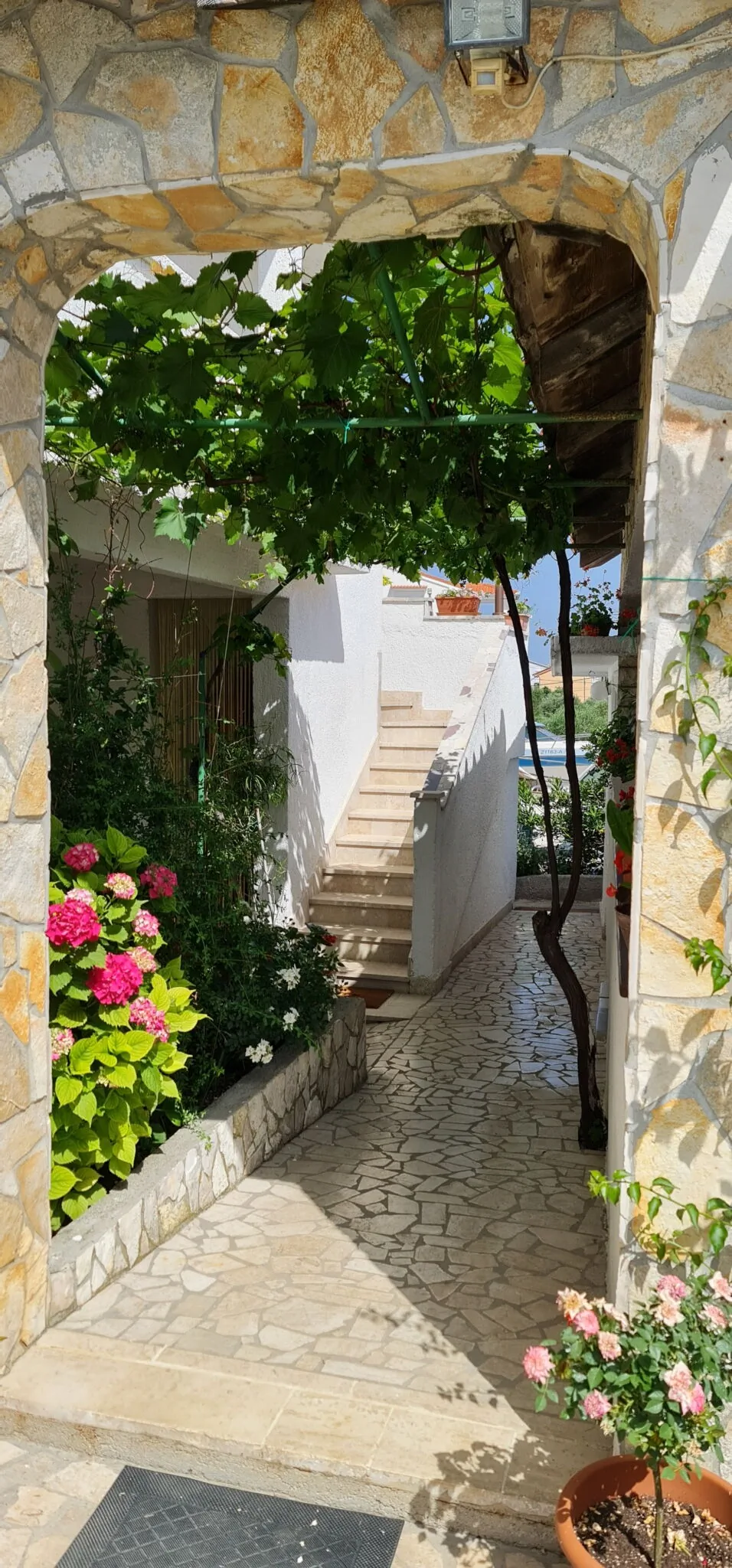 Vila Rab - foto 8