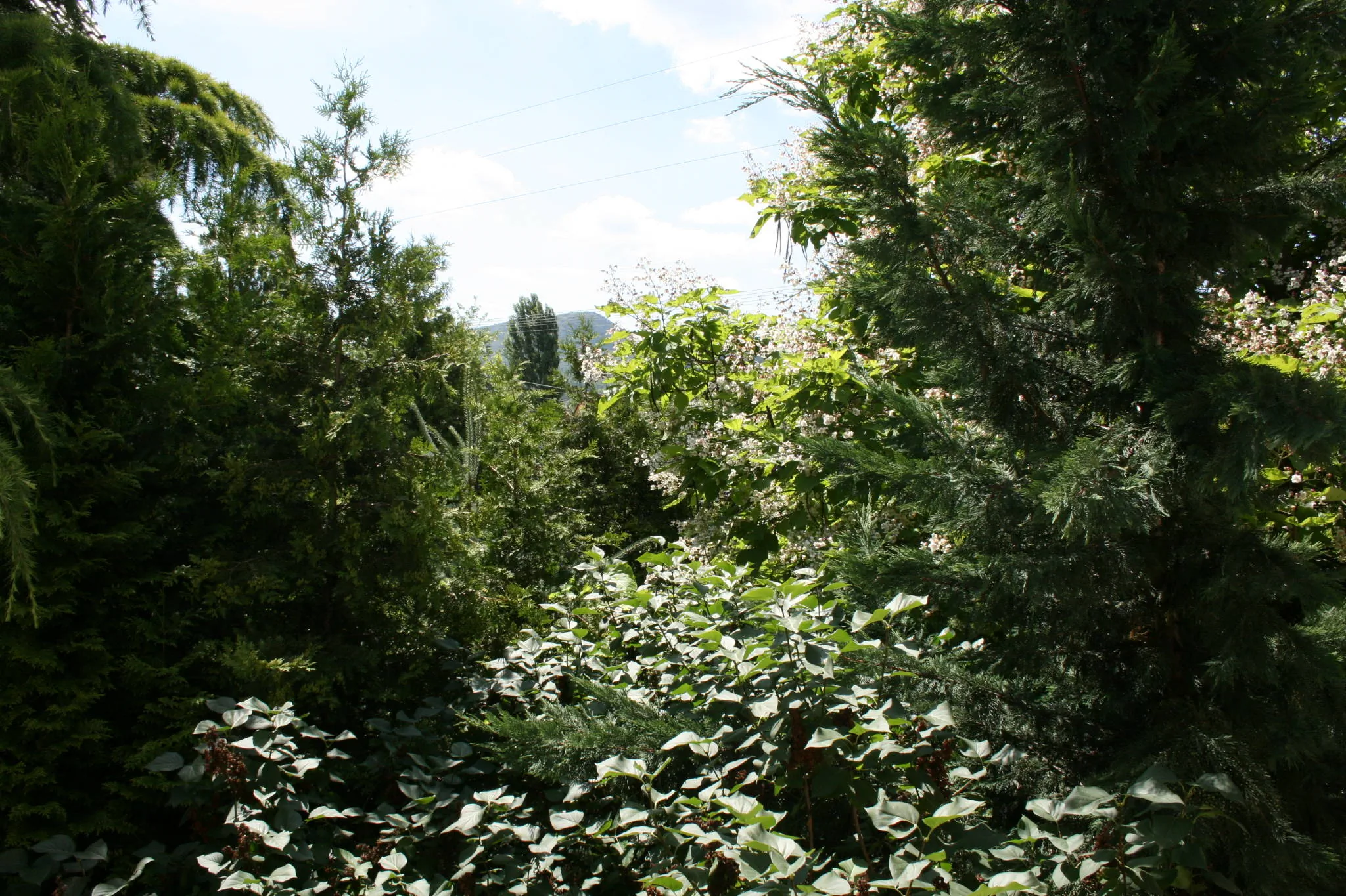 Fontana Vendégház Tát – Tát, Ungaria