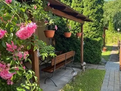 Casa Dan Sovata – Sovata, România