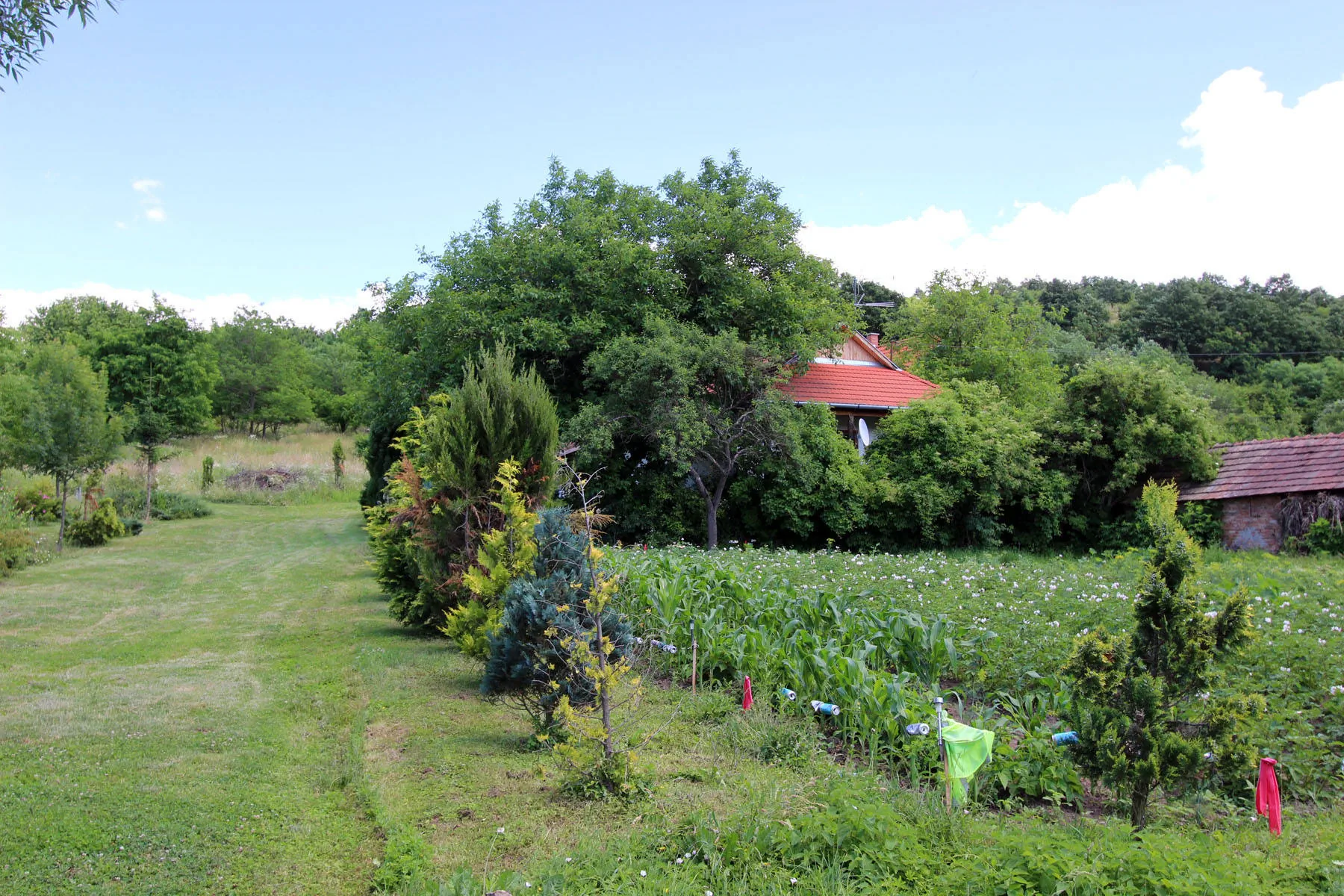 Bableves Vendégház Felsőtold – Felsőtold, Ungaria