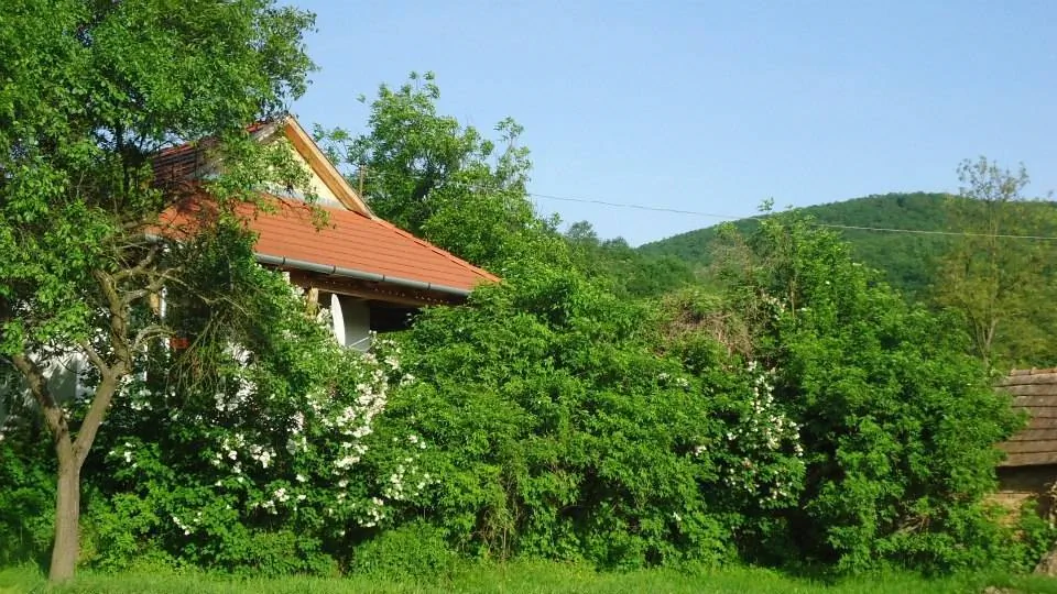 Bableves Vendégház Felsőtold – Felsőtold, Ungaria