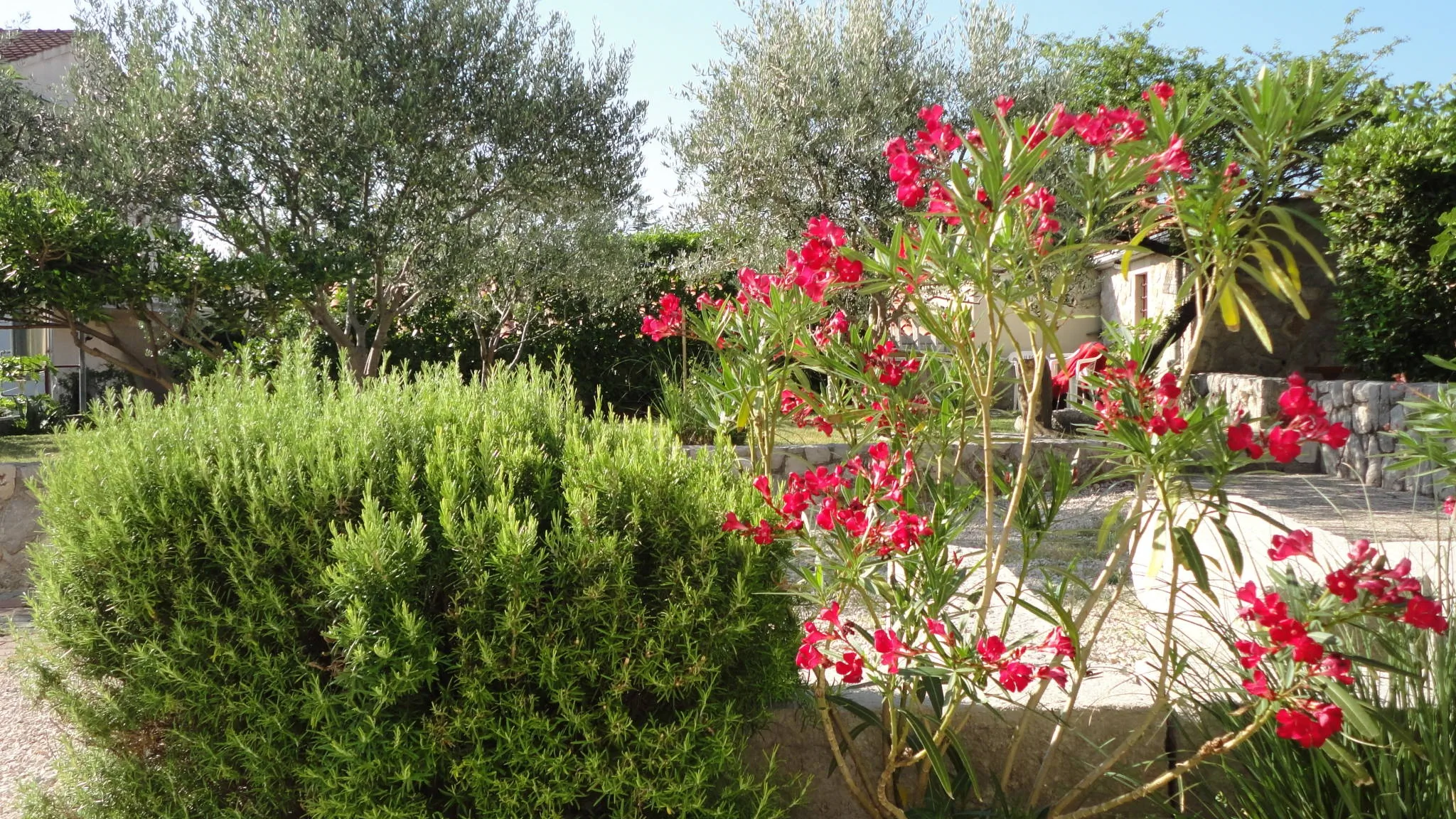 Apartman Info Krk – Krk, Croația