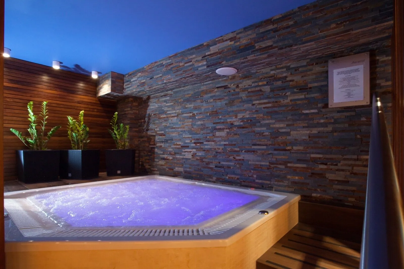Pensjonat Śnieżka Spa Karpacz – Karpacz, Polonia