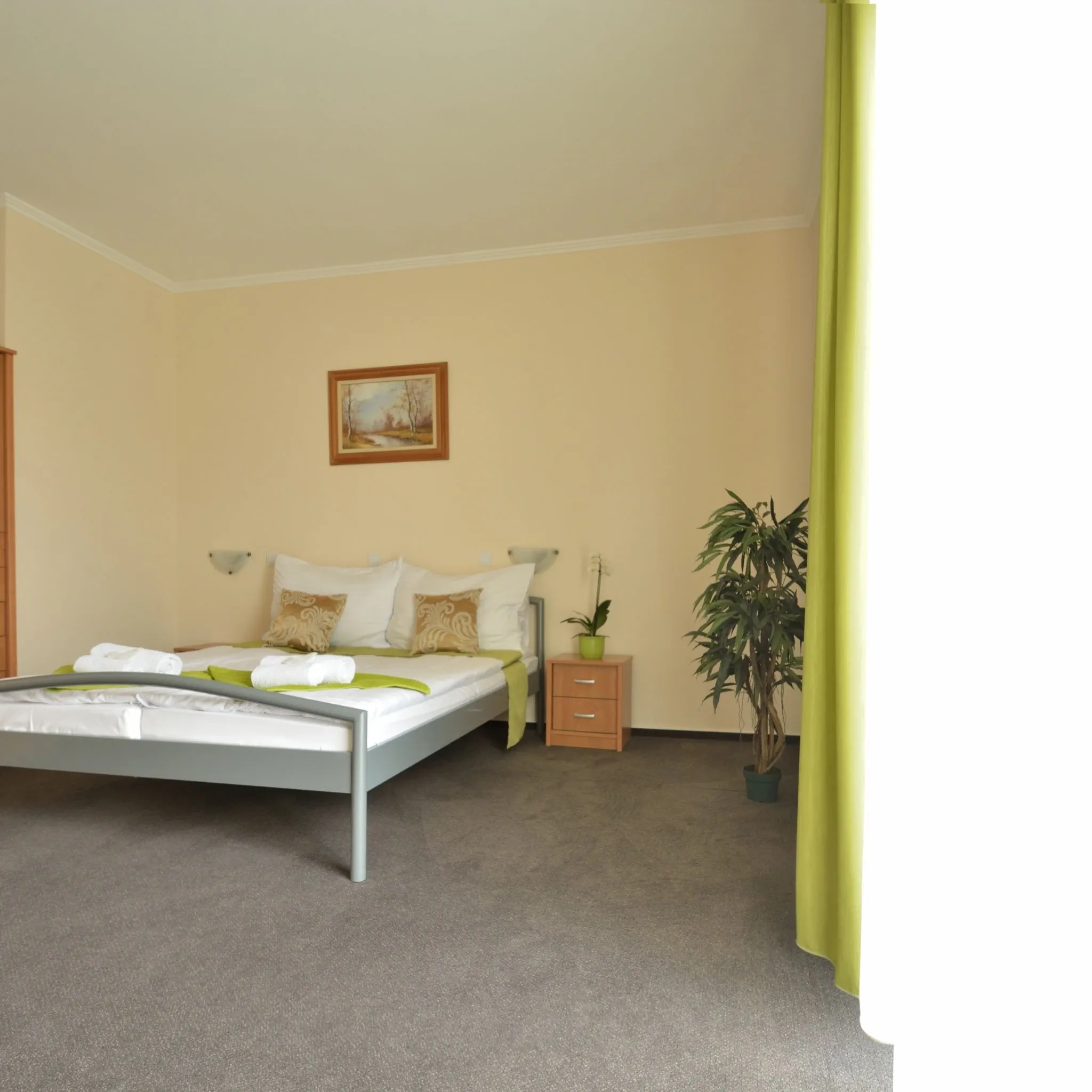 Viktória Wellness Hotel Nagyatád - foto 6