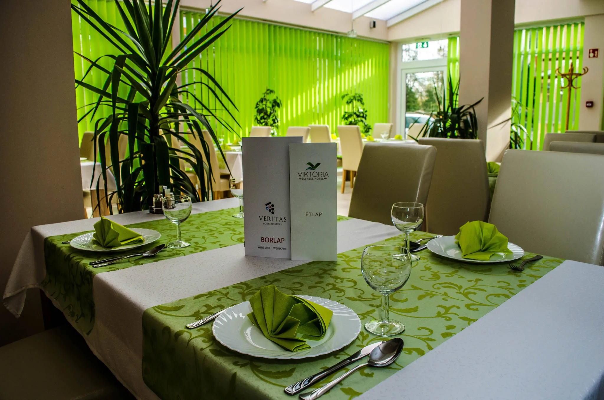 Viktória Wellness Hotel Nagyatád – Nagyatád, Ungaria