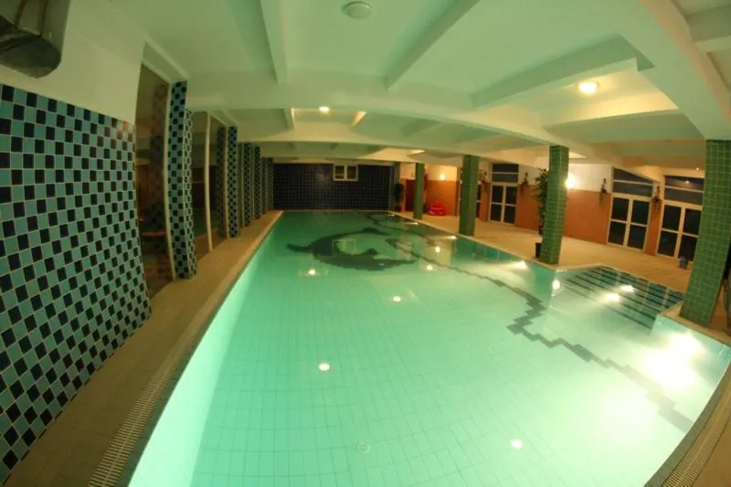Hotel Daisy Superior Kraków - foto 9