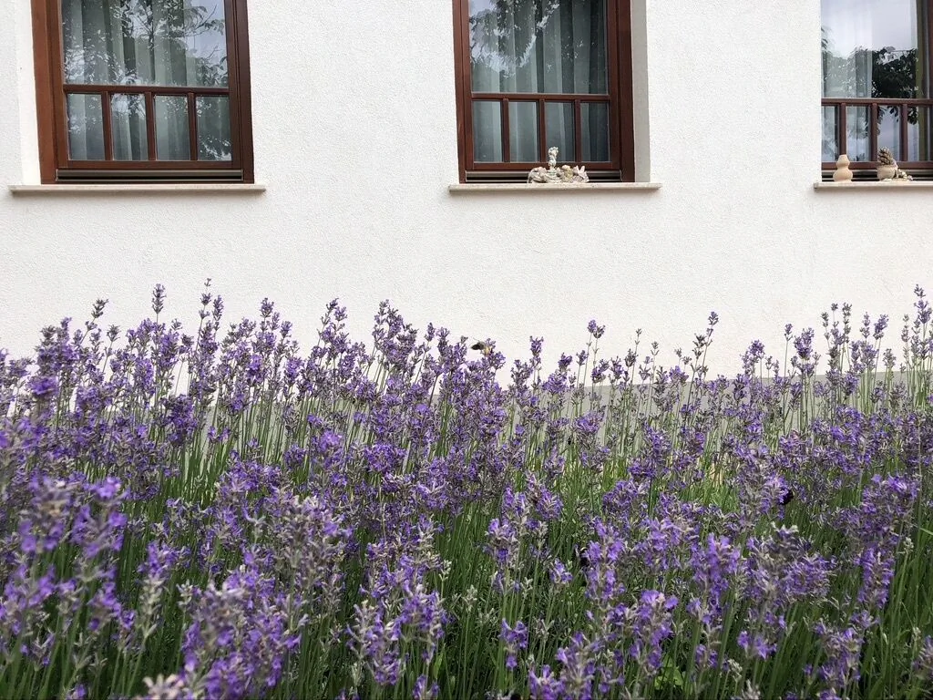 Tündérkert Panzió Őrség Viszák – Viszák, Ungaria