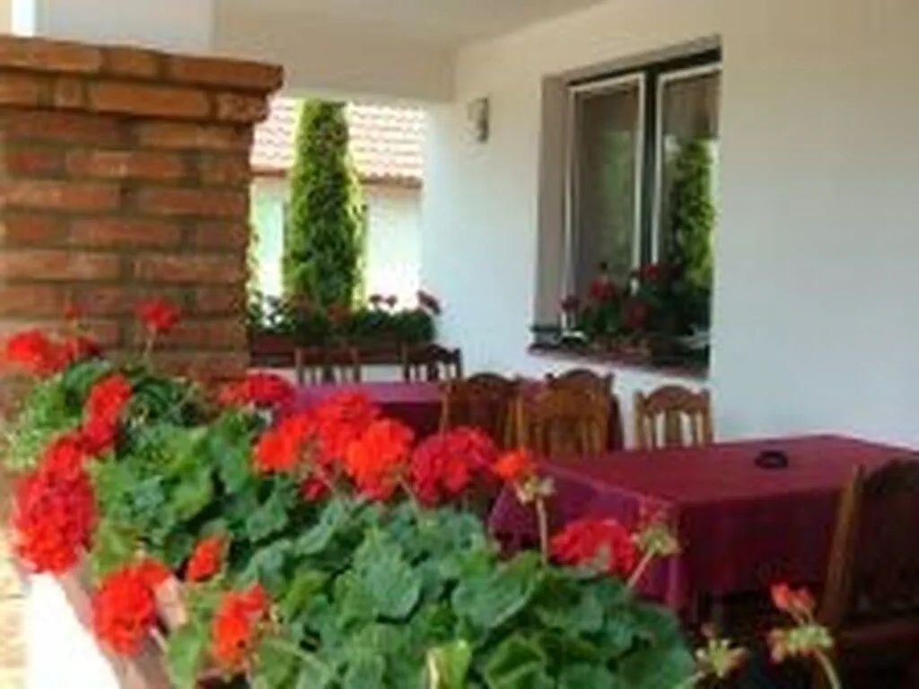 Verba Tanya Kótaj – Kótaj, Węgry