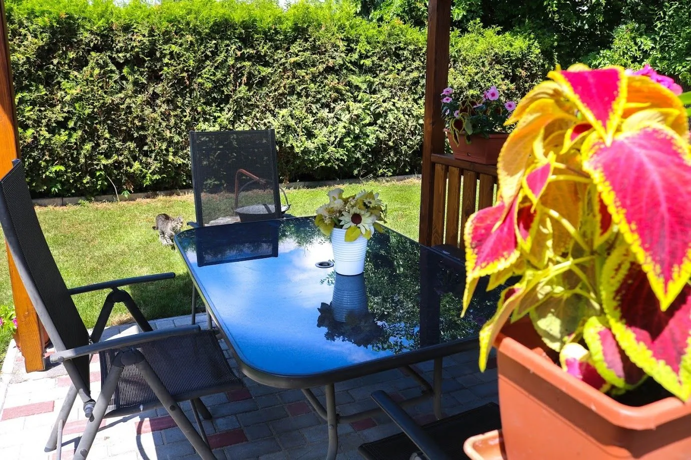 Szellő Úti Apartmanok Szolnok - foto 7