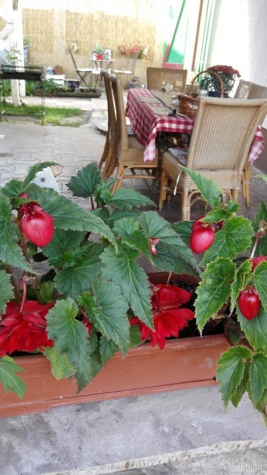 Casa de vacanță Căsuța Verde Gura Humorului – Gura Humorului, România