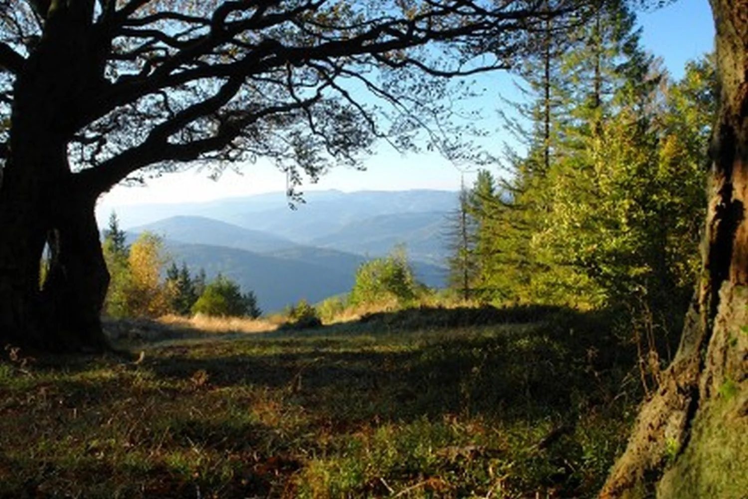 Pensjonat Źródełko Ustroń – Ustroň, Polsko