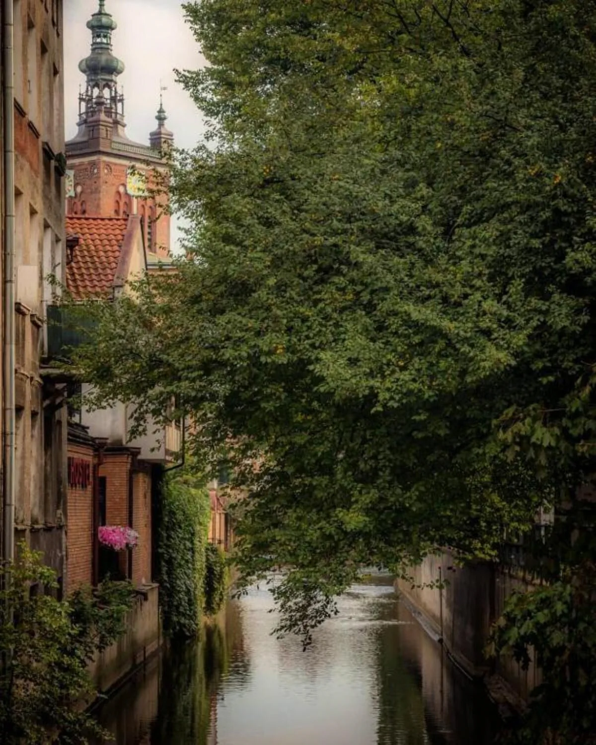 Apartament Studio Four Seasons z miejsciem parkingowym Gdańsk – Gdańsk, Polska