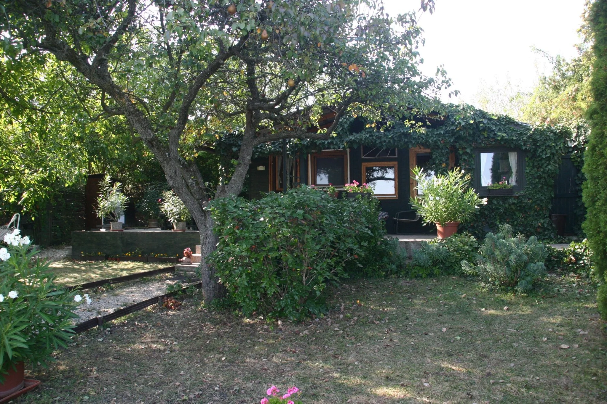 Bandilak Faház Balatonalmádi – Balatonalmádi, Ungaria