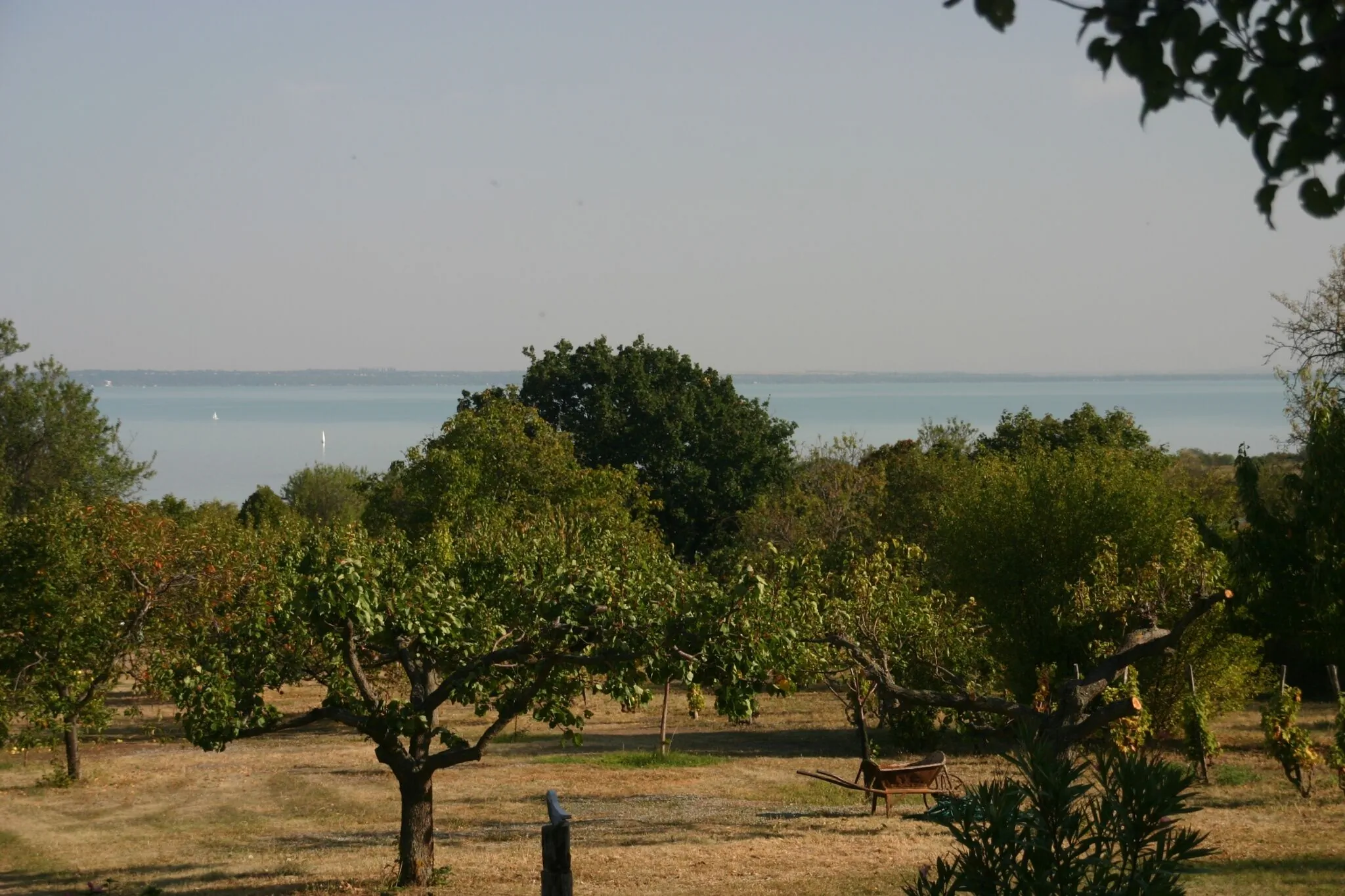 Bandilak Faház Balatonalmádi – Balatonalmádi, Ungaria