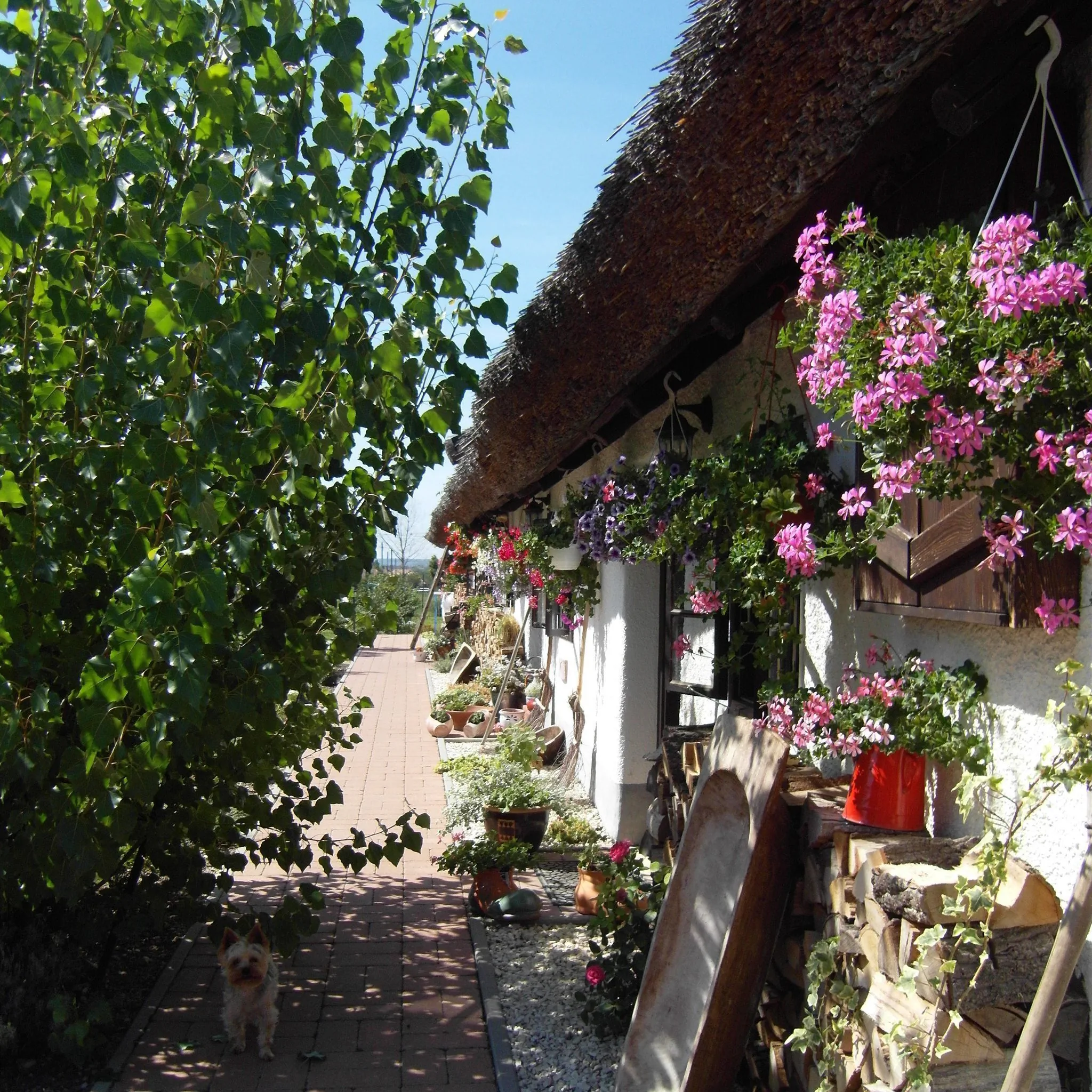 Nádasház Gyenesdiás – Gyenesdiás, Ungaria