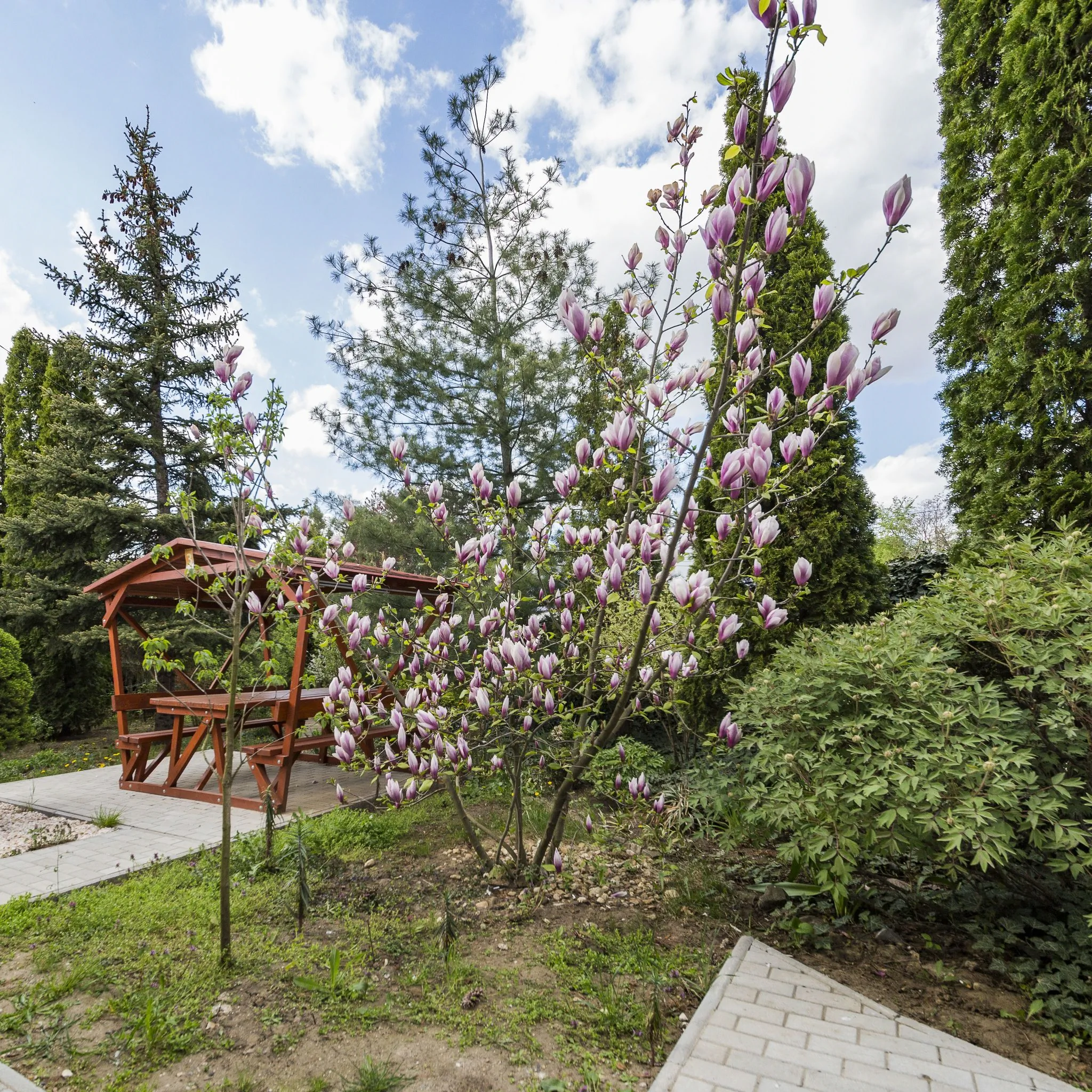 Dolce Vita Apartman Nyíregyháza – Nyíregyháza, Maďarsko