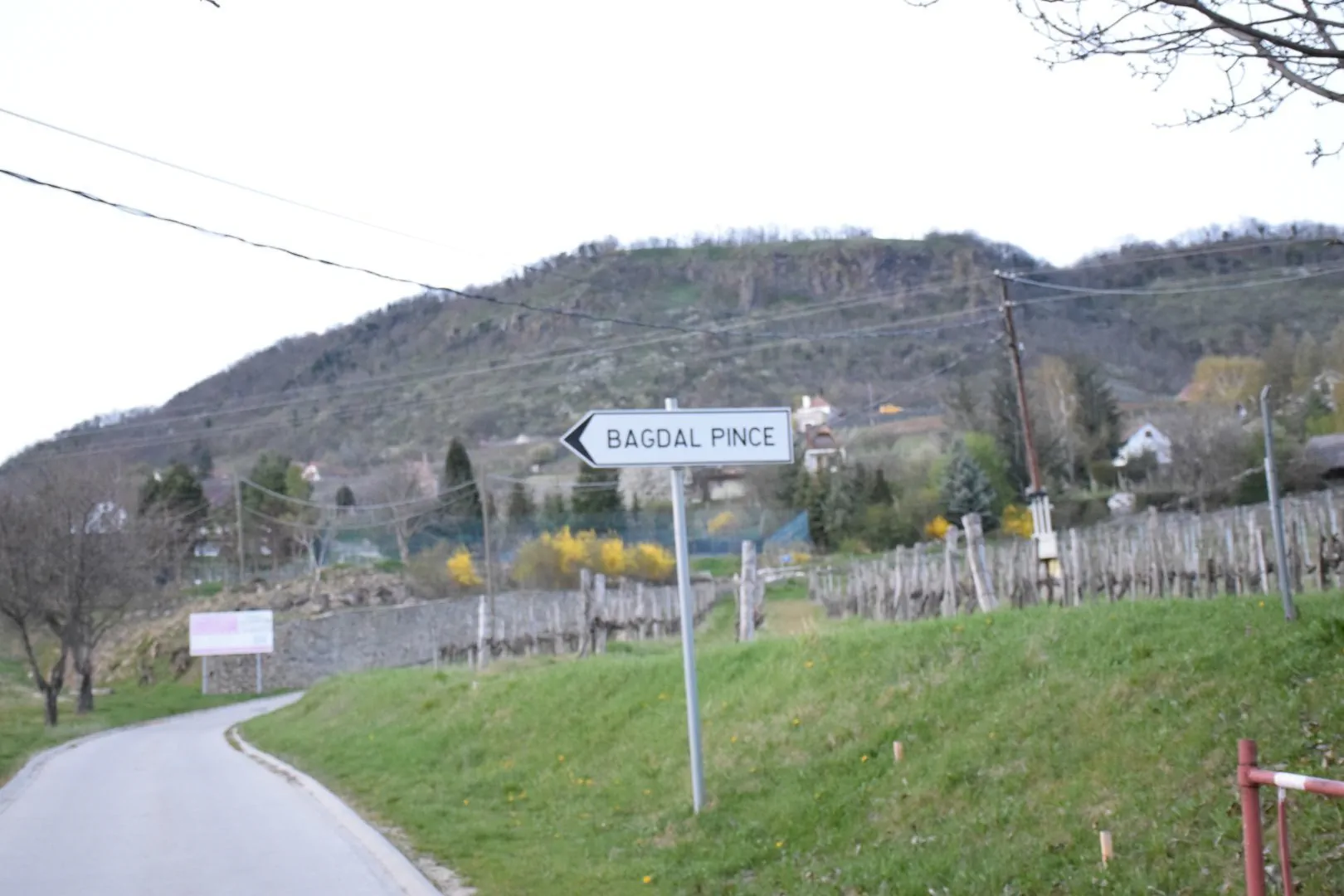 Bagdal-Vino Vendégház Somlójenő – Somlójenő, Ungaria