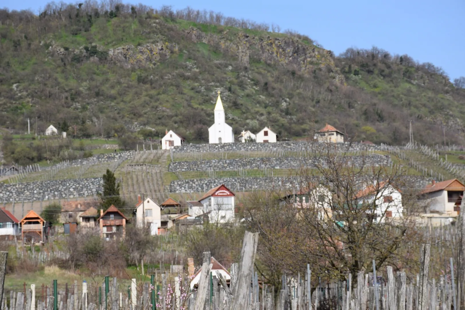 Bagdal-Vino Vendégház Somlójenő – Somlójenő, Ungaria
