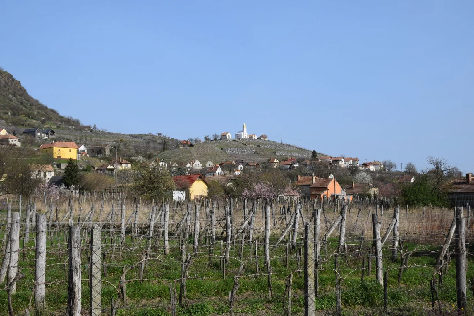 Bagdal-Vino Vendégház Somlójenő – Somlójenő, Ungaria