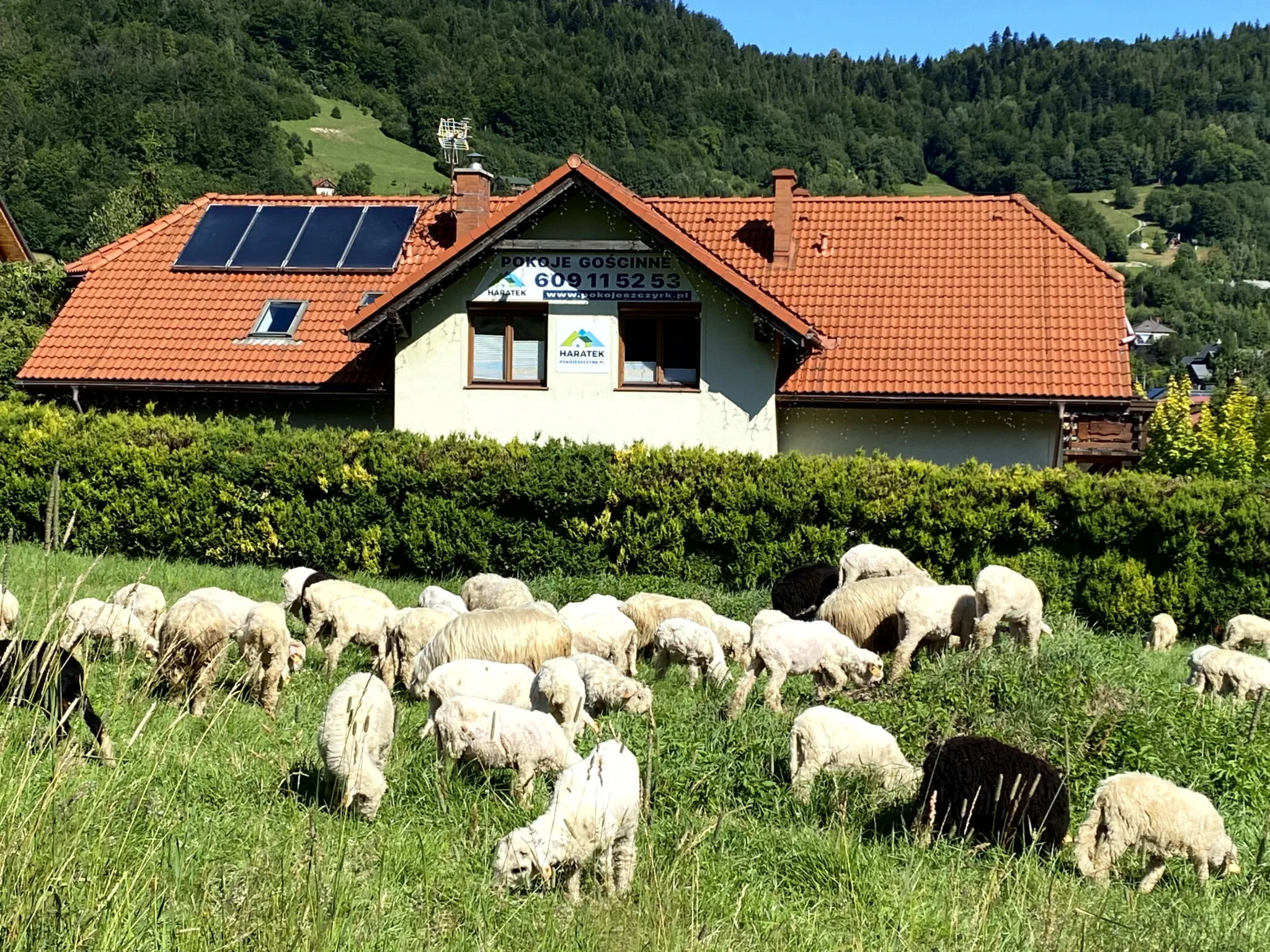 Pokoje Gościnne Haratek przy Gondoli Szczyrk – Szczyrk, Polonia