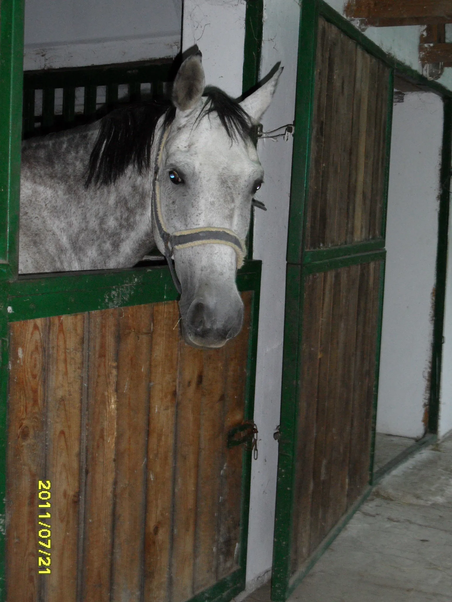Silver Horse Ranch Békés – Bichiş, Ungaria