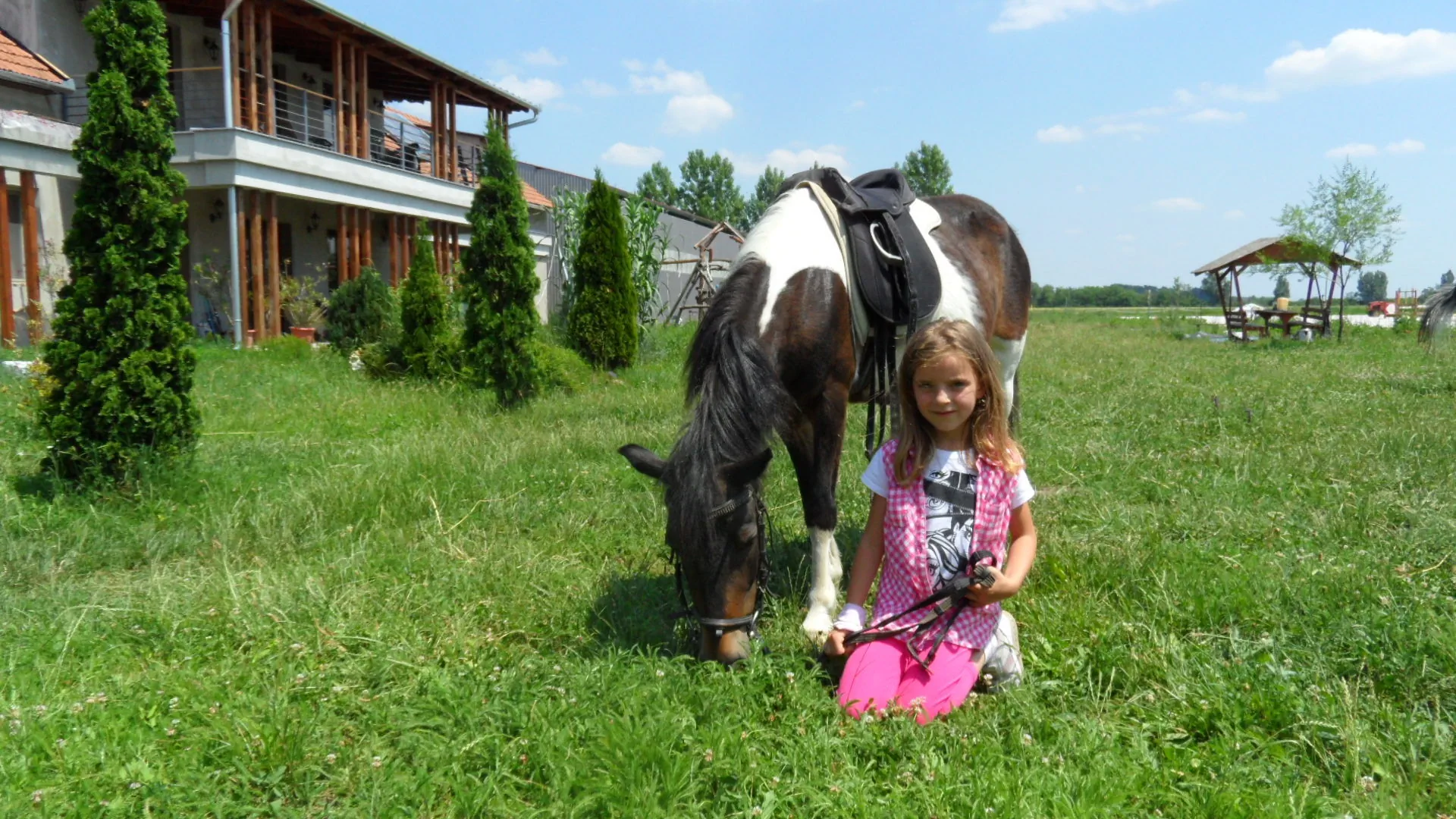 Silver Horse Ranch Békés – Bichiş, Ungaria