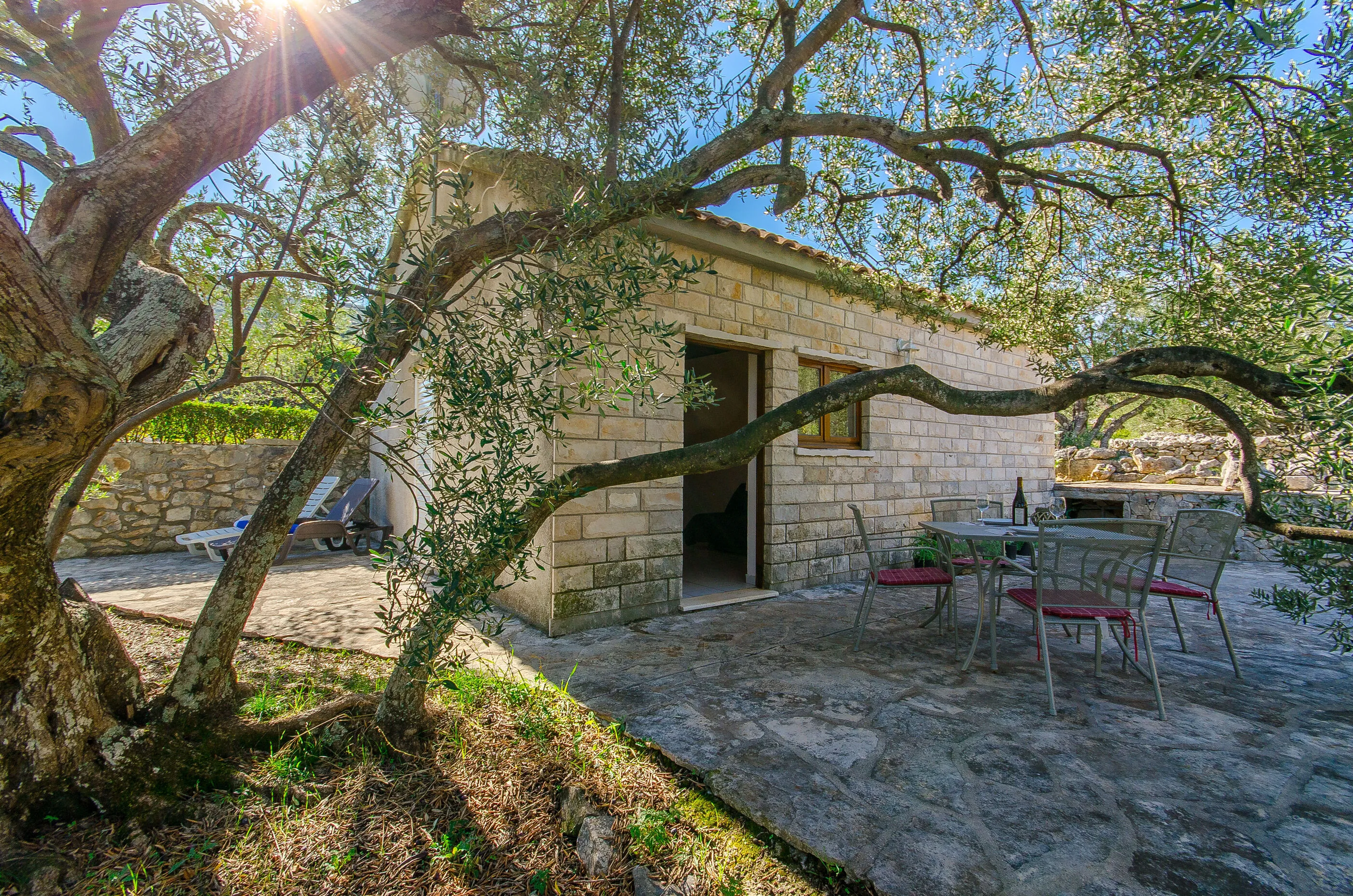 House Petar Kneža - foto 4