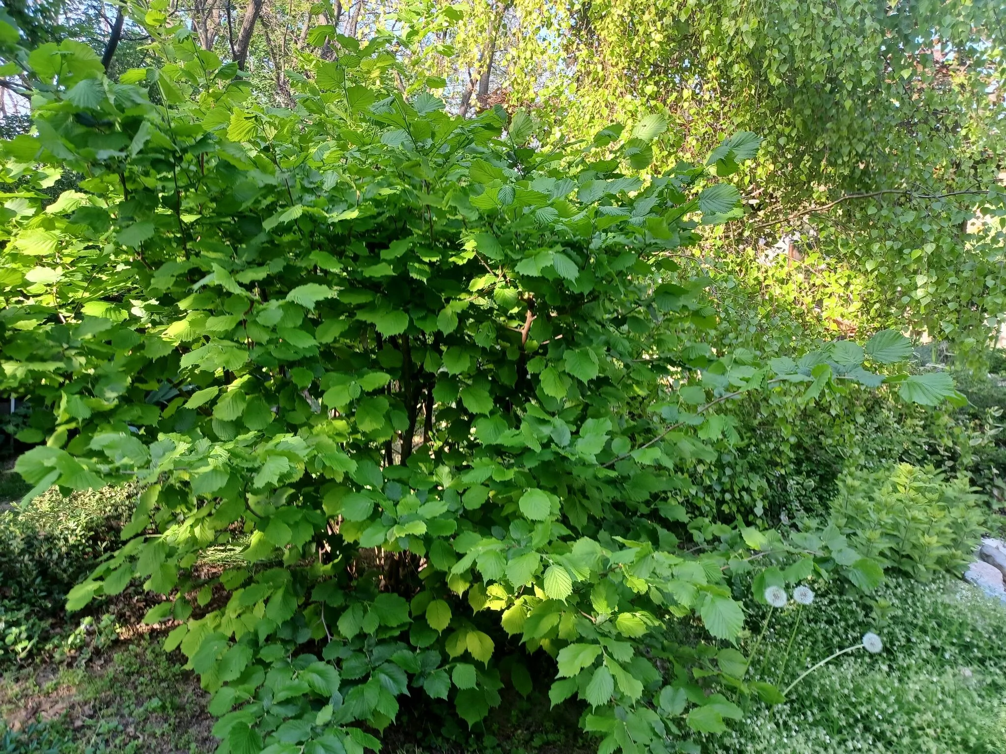 Magdolna Vendégház Écs – Écs, Maďarsko
