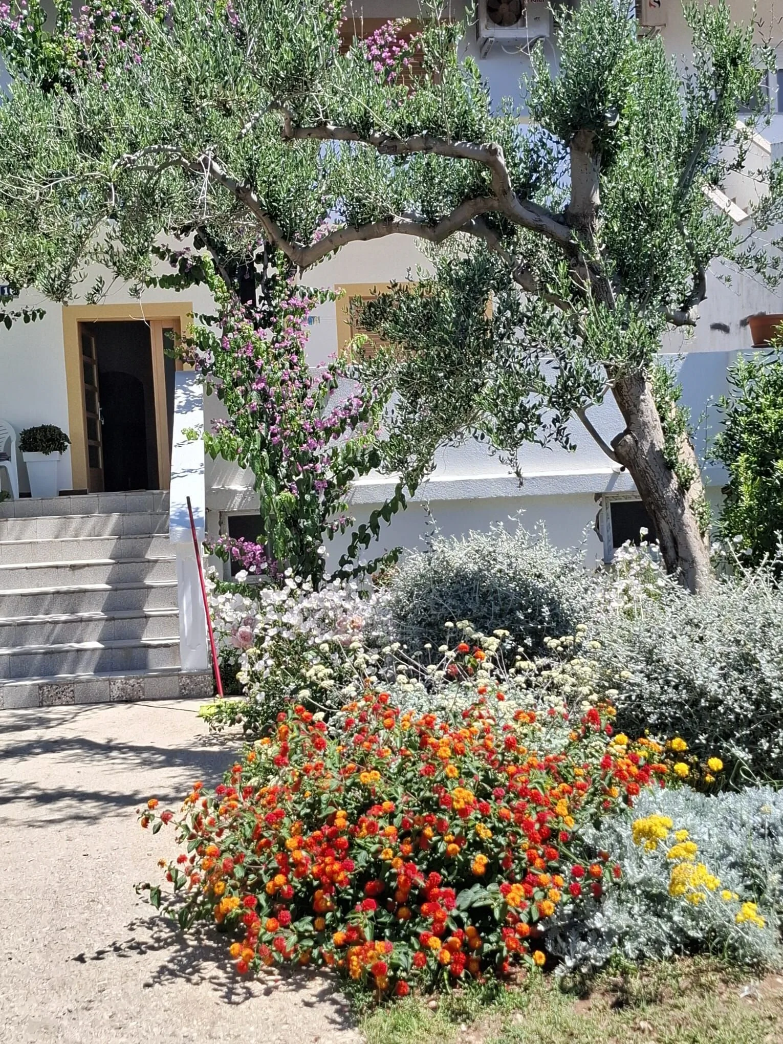 Apartments Sanja Povljana – Povljana, Chorwacja