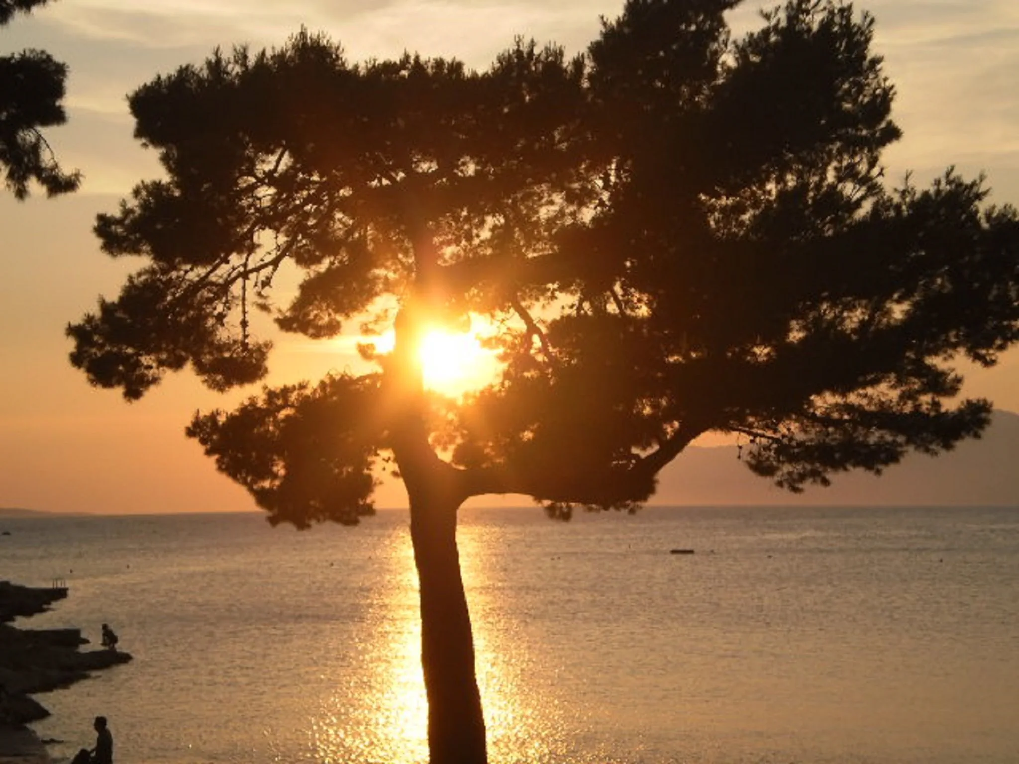 Apartments Miše Makarska - foto 4